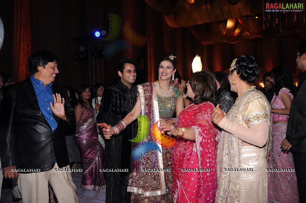 Himanshu-Sneha Reception