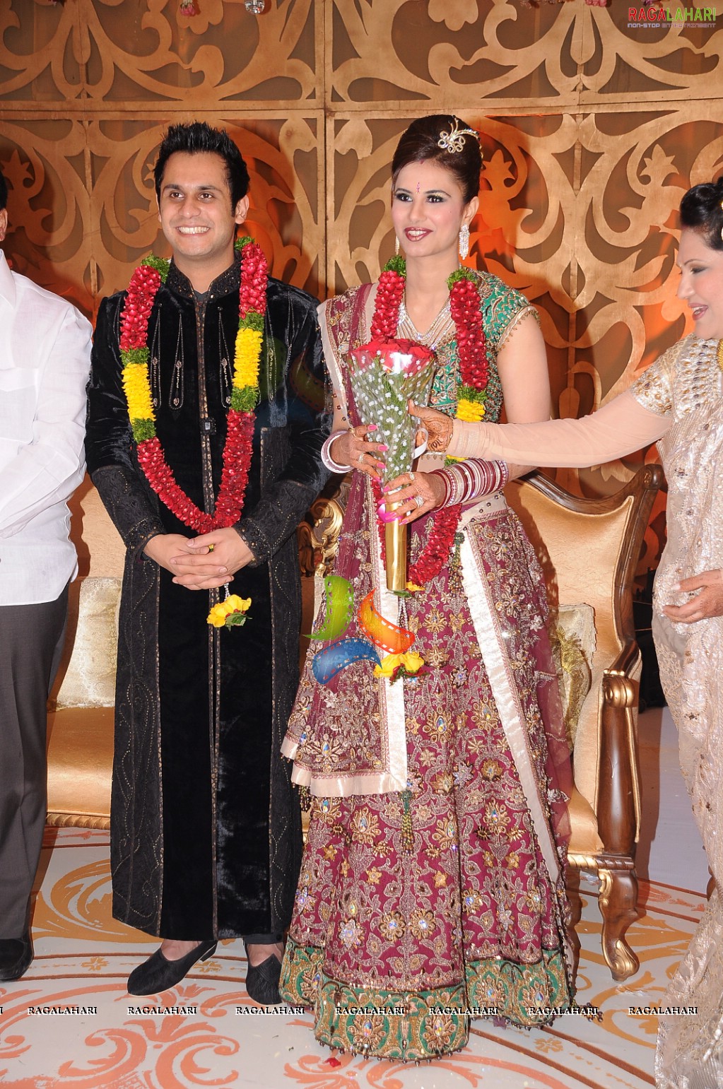 Himanshu-Sneha Reception