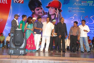 Prema Kavali Audio Release