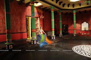 Nagavalli Room Photos