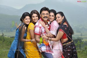 Nagavalli Movie High Resolution Pics