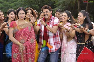 Nagavalli Movie High Resolution Pics