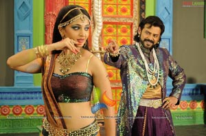 Nagavalli Movie High Resolution Pics