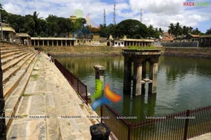 Temples in Nagavalli Movie