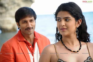 Gopichand, Deeksha Seth, Richa Gangopadhyay