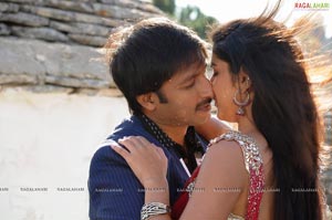 Gopichand, Deeksha Seth, Richa Gangopadhyay