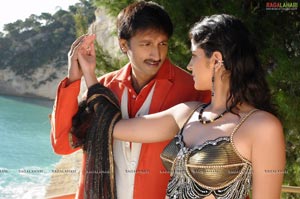 Gopichand, Deeksha Seth, Richa Gangopadhyay