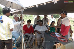 Cricket Girls Beer Working Stills