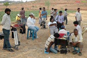 Cricket Girls Beer Working Stills