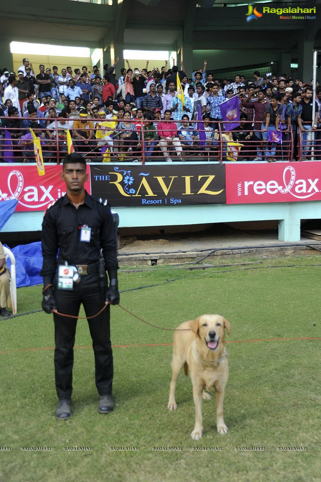 CCL 2102: Bengal Tigers VS Chennai Rhinos