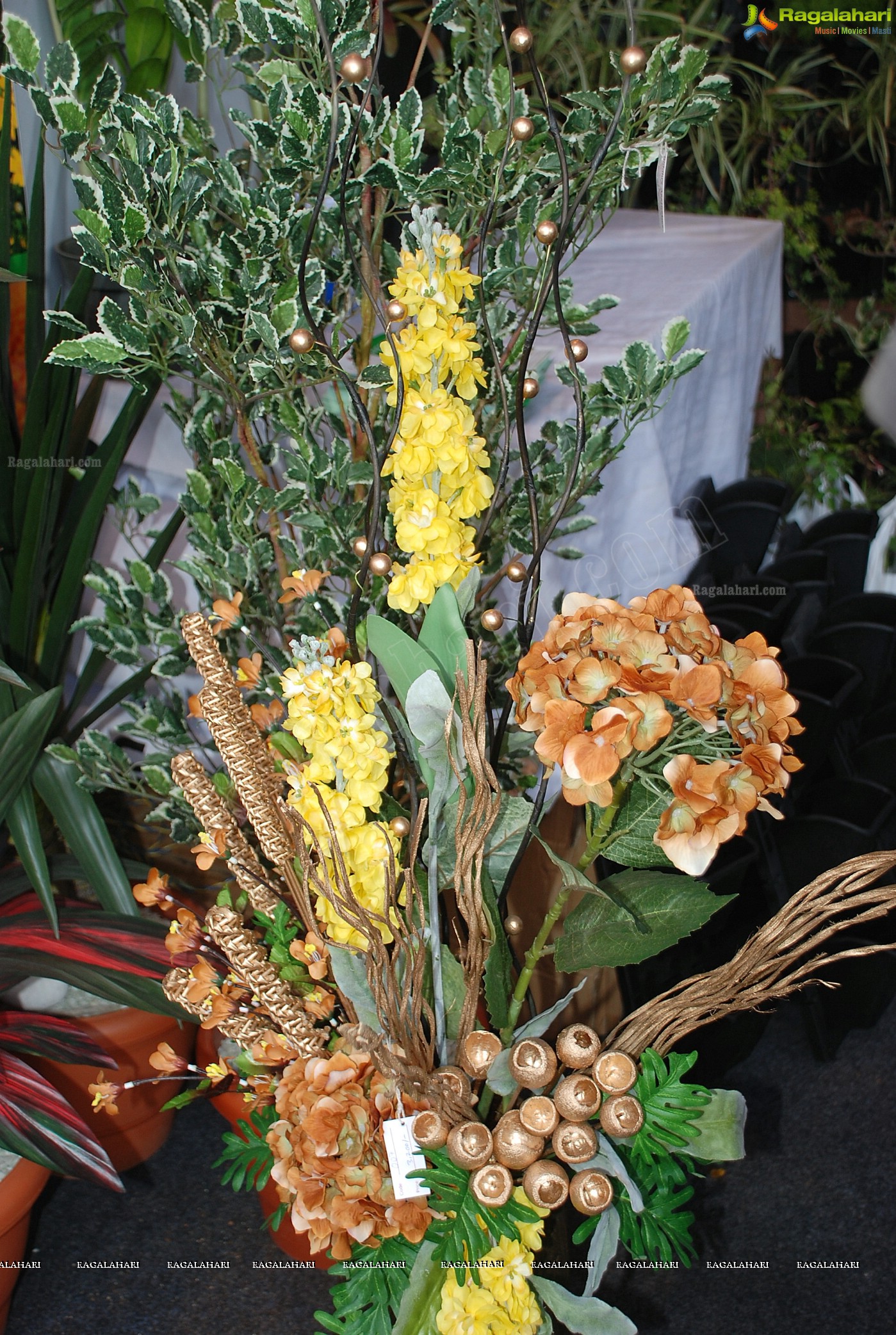 Horti Expo 2012