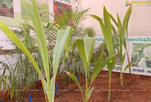 Horti Expo 2012 at Necklace Road