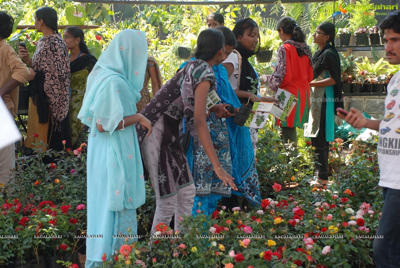 Horti Expo 2012