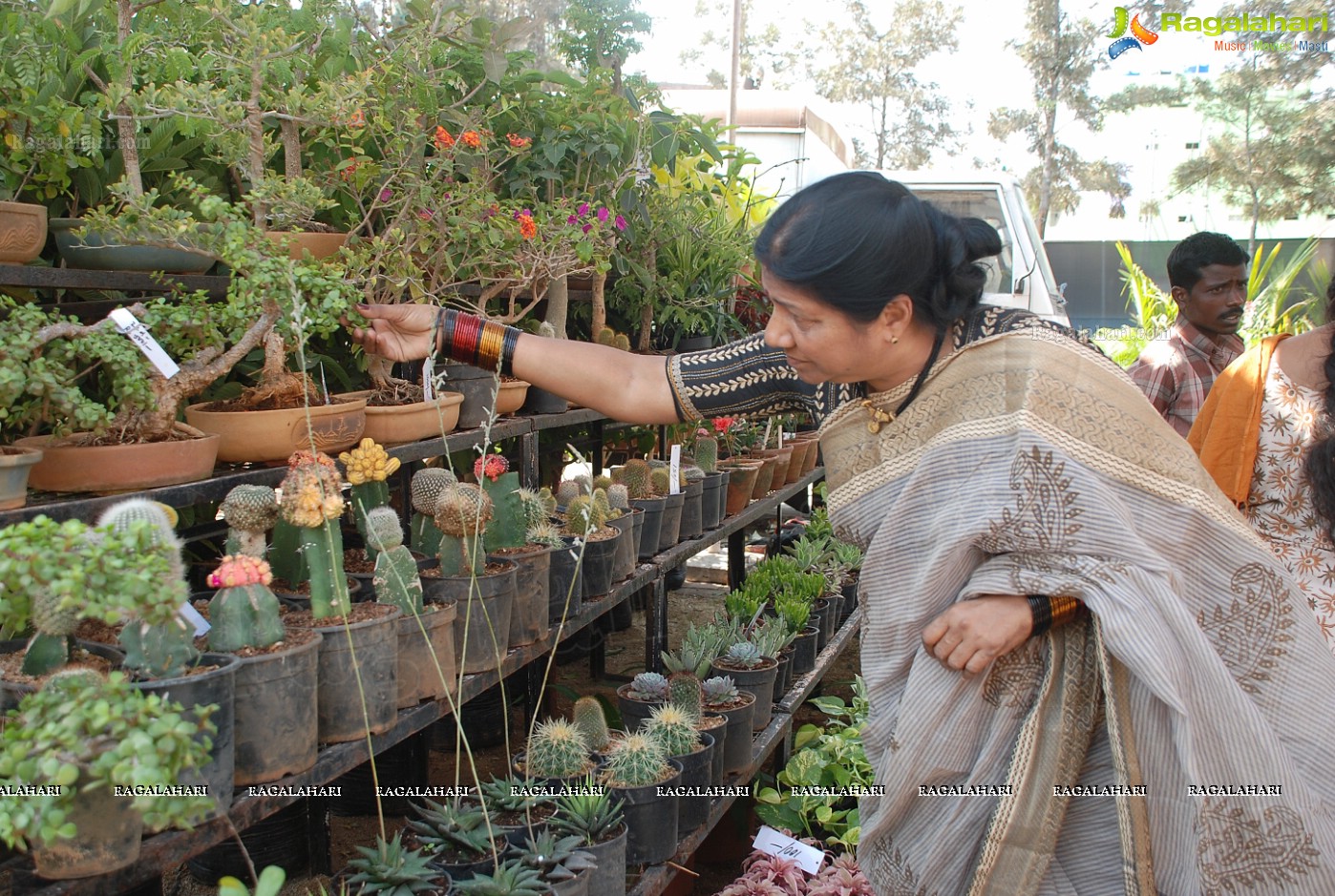 Horti Expo 2012