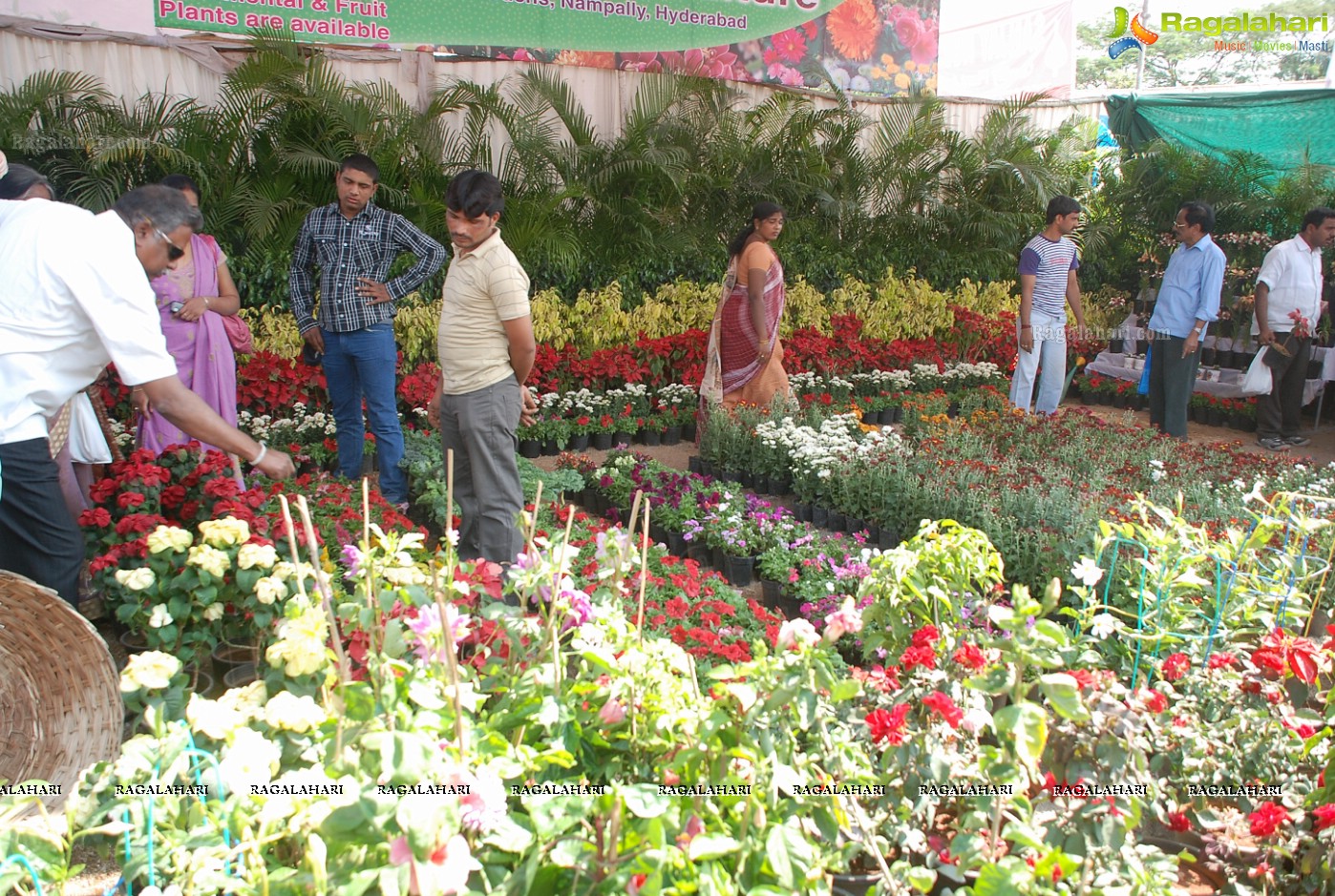 Horti Expo 2012