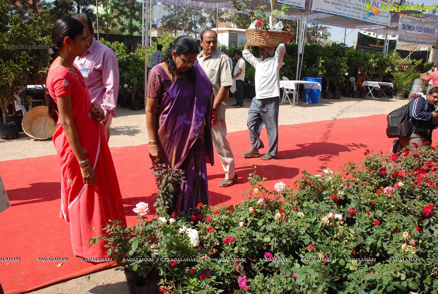 Horti Expo 2012