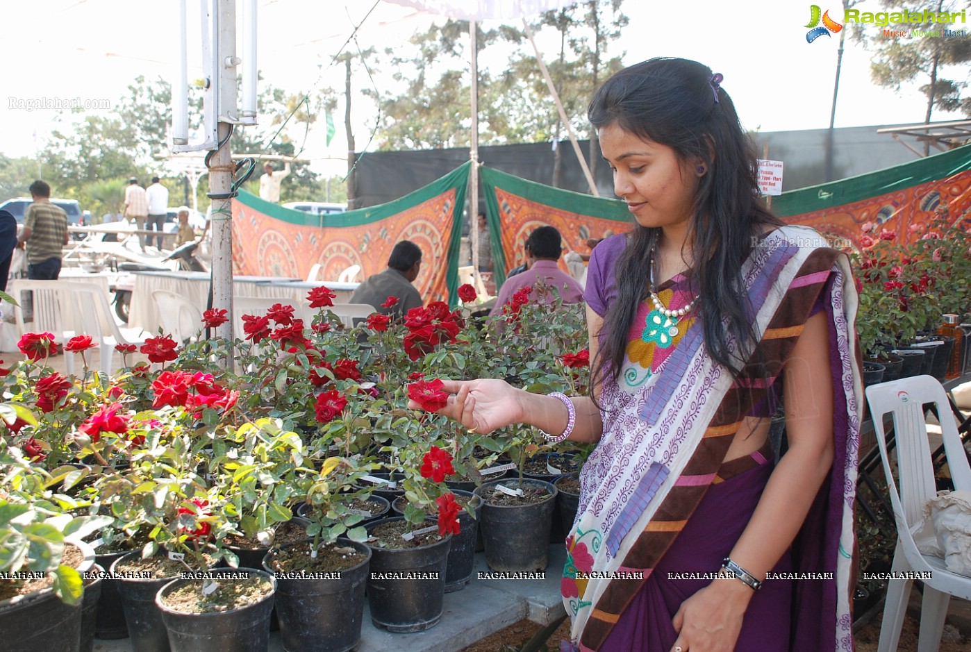 Horti Expo 2012