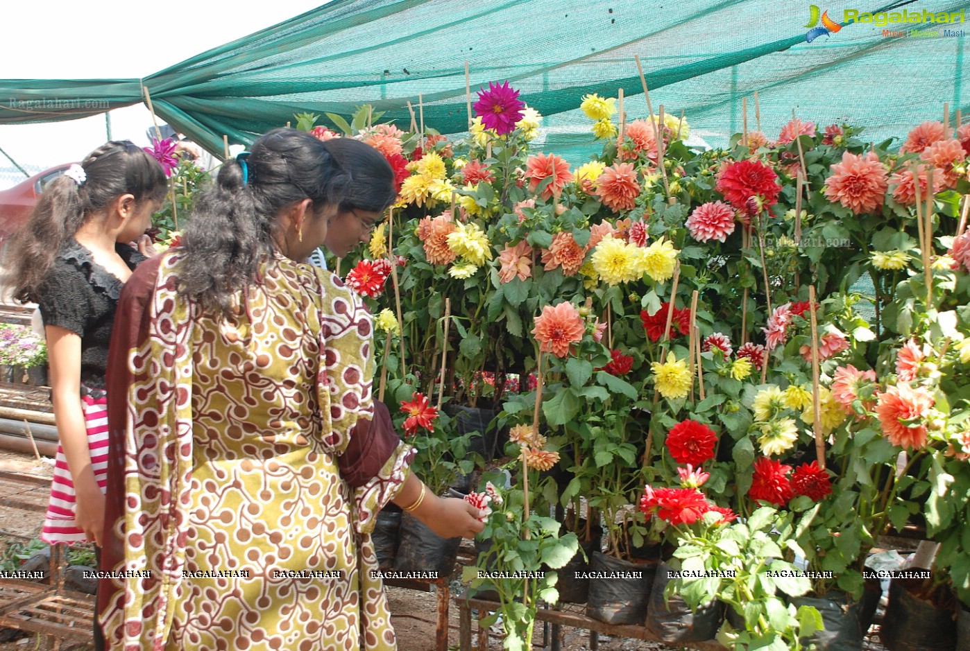 Horti Expo 2012