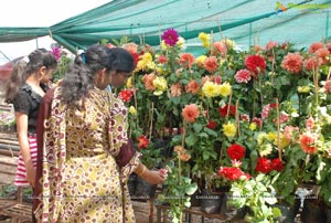 Horti Expo 2012 at Necklace Road