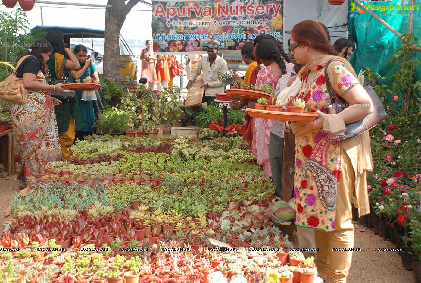 Horti Expo 2012