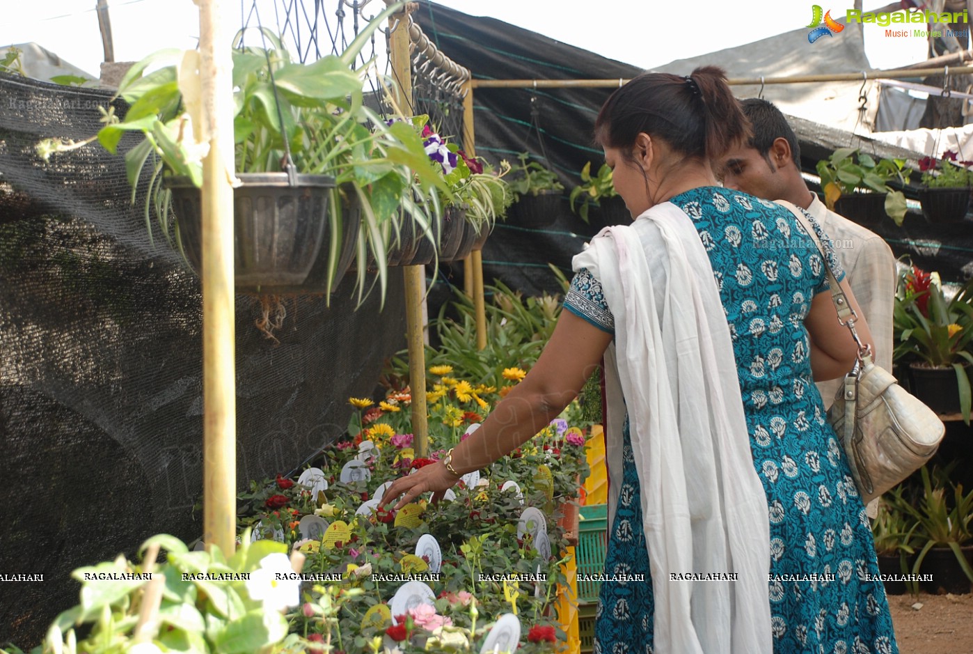 Horti Expo 2012