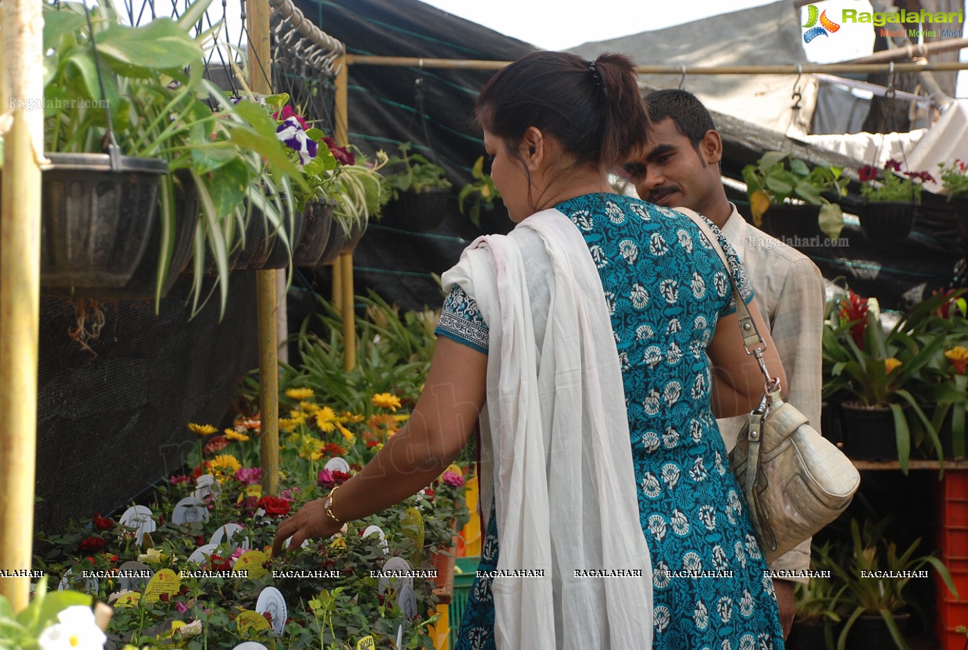 Horti Expo 2012