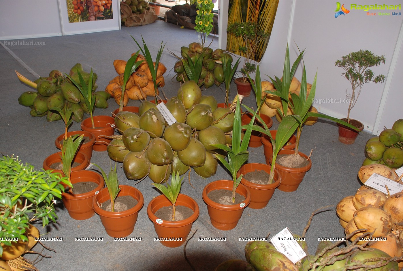 Horti Expo 2012