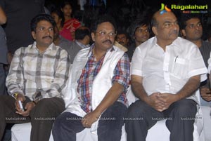 Mr. Nokia Audio Release