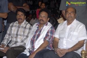 Mr. Nokia Audio Release