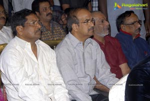 Mr. Nokia Audio Release