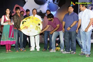 Nippu Audio Release