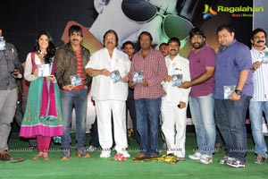 Nippu Audio Release