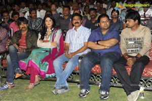 Nippu Audio Release