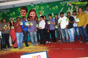 Pularangadu Audio Release