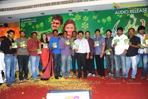 Pularangadu Audio Release