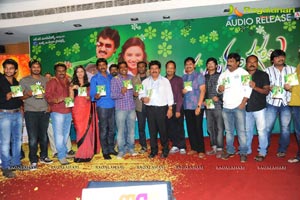 Pularangadu Audio Release