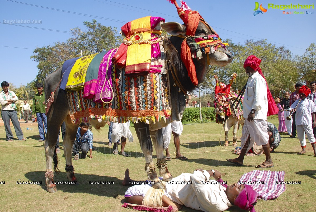 Vodafone Radio Mirchi Sankranthi Sambaralu