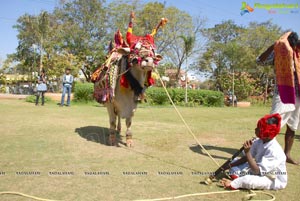 Vodafone Radio Mirchi Sankranthi Sambaralu