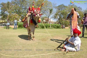 Vodafone Radio Mirchi Sankranthi Sambaralu