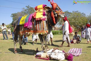 Vodafone Radio Mirchi Sankranthi Sambaralu