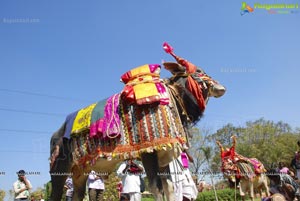 Vodafone Radio Mirchi Sankranthi Sambaralu