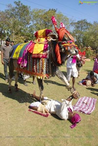 Vodafone Radio Mirchi Sankranthi Sambaralu