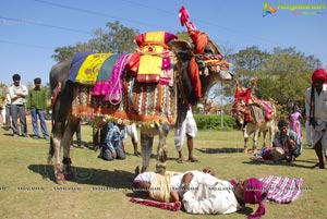 Vodafone Radio Mirchi Sankranthi Sambaralu