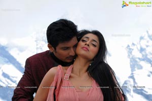 Jeeva, Shriya