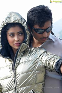 Jeeva, Shriya