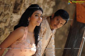 Jeeva, Shriya