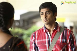 Siddarth, Amala Paul