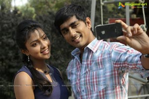 Siddarth, Amala Paul