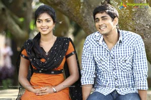 Siddarth, Amala Paul