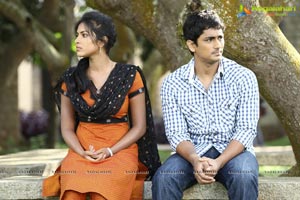 Siddarth, Amala Paul